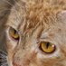 Nugget (@thudapatro) Twitter profile photo Nugget (@thudapatro) Twitter profile photo