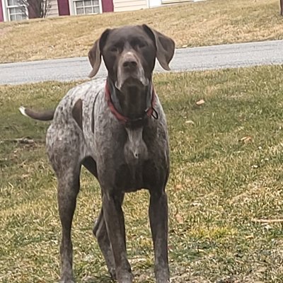 GaryMoo96573426's profile picture. 