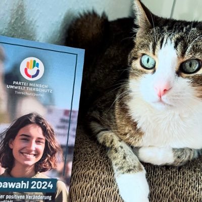 judit1975's profile picture. 🌱💚
