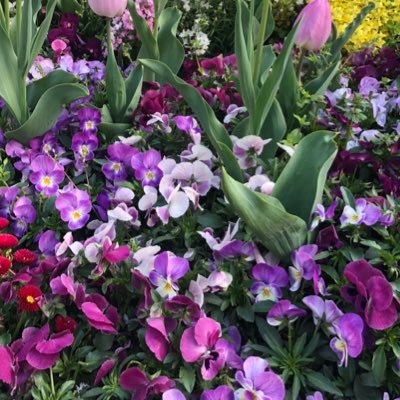 fmin35's profile picture. timeleszまるっと好き。風磨くんが大好き！とにかく楽しく追いたい◎(02〜嵐育ちです🟣) 30↑ (sakanaction 他界隈ですが気持ち溢れがち雑多です。)