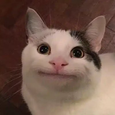 jaysean_leee's profile picture. I do vc in korea