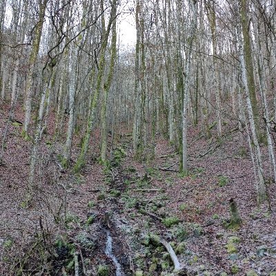 OpiKhanimObi's profile picture. 