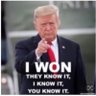 MountainLifeWVU's profile picture. God~Family~Country TRUMP WON ~ IFBAPatriots ~ Conservative ~ VerseByVerse Ministries is amazing!