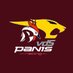vdS Panis Racing (@vdspanisracing) Twitter profile photo