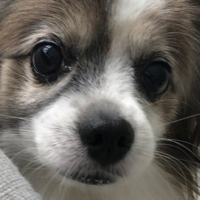 うっかり義さんのプロフィール画像