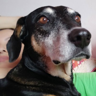 PauoGarden's profile picture. "Todo meu saber, consiste em saber de que nada sei"  Sócrates