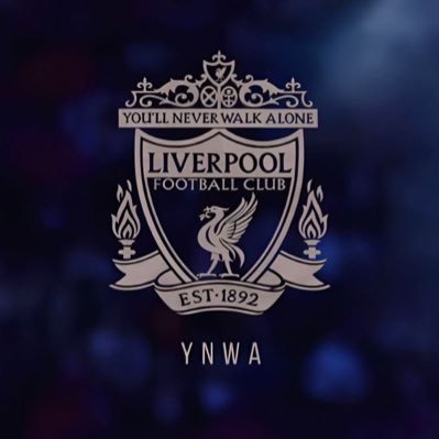 サッカー(リヴァプール・バレンシア ・横浜F・マリノス)。ゼルダの伝説シリーズ、FC25。新海誠監督作品。名探偵コナン(灰原哀・ベルモット・上原由衣)、音楽:L'Arc~en~Ciel、LittleGleeMonster(結海ちゃん推しガオラー)