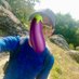 Sam (MONSTER 🍆) (@mnstrcckspdr) Twitter profile photo Sam (MONSTER 🍆) (@mnstrcckspdr) Twitter profile photo