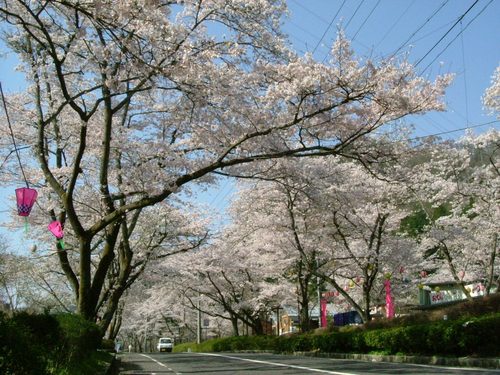 関市武芸川事務所のTwitterです。このTwitterは情報発信のみで、返信は行いません。