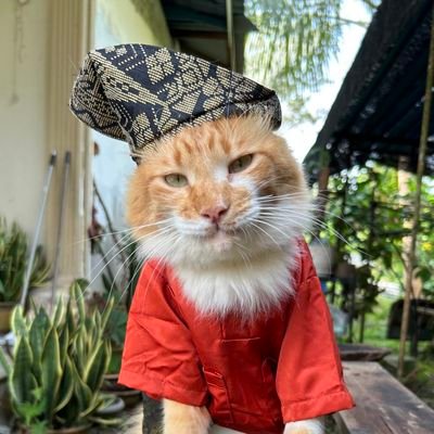 schangbinx Profile Picture