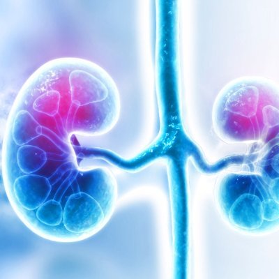 This is an official X account of the ACCP PRN Nephrology account. Perfect for clinicians taking care of kidney diseases, fostering pharmacy practice & research