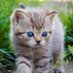 Ir'ene Talberg (@italberg49393) Twitter profile photo Ir'ene Talberg (@italberg49393) Twitter profile photo