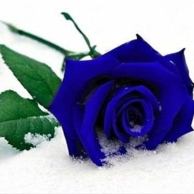 photos are not mine
⛔no list⛔no group⛔no dm⛔
thank you