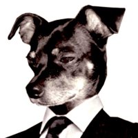 rx (@ruys) 's Twitter Profile