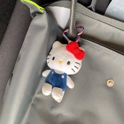 Pre-order Europe, Japan 🇪🇺🇩🇪 🇯🇵✈️ #primpaupdates , #ch3wyอัพเดต / #primpareviews , #chewysreview Owner; @songsoochic