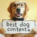 best dog content (@bestdogcontent) Twitter profile photo best dog content (@bestdogcontent) Twitter profile photo