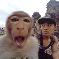 johnwhatsgoingon (@johnwhats01) 's Twitter Profile