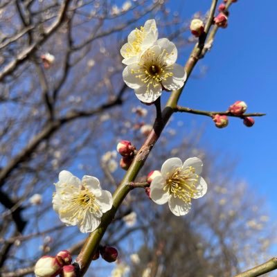成人済 うたプリ(蘭丸/トキヤ/カルナイ) ┊︎宮野真守さん関連のお取引など その他のお取引にも使用します 平日のご返信は夜〜深夜となります