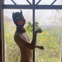 小宏(公零洨騷犬) (@corn0515) 's Twitter Profile