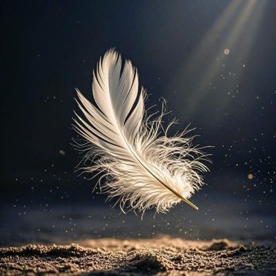 bor273920156808's profile picture. BSC20第一铭文#memex铭文，铭刻总量10万张，币安链第一铭文交易所 https://t.co/dtWDiJ0347，选择榜首MEMEX铭文，财富神话Q群：675796096，请关注聚贤社区@juxiancommunity，支持建设所有BSC20铭文。