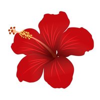 Cakap Melayu 🌺 (@pascakapmelayu) 's Twitter Profile