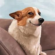 vadik_smr's profile picture. 