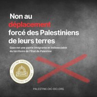 ahmed sall (@sallpap) 's Twitter Profile