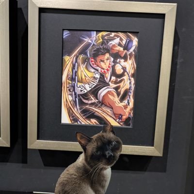 🌈🐕茶子🐈(兼取引垢)さんのプロフィール画像