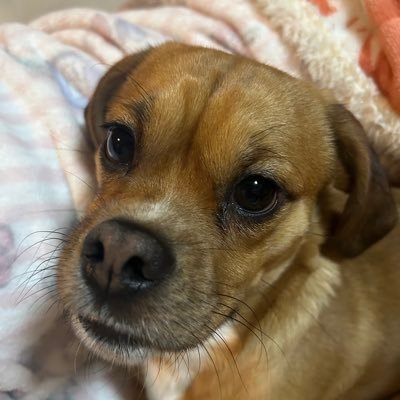 udon_bee7's profile picture. メンタルBrooom