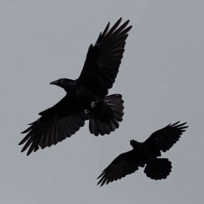 edits from the six of crows duology by author leigh bardugo. if you want your edit to be removed, send a dm.