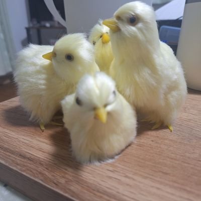 此頃都ニハヤル物 夜討 強盗 謀にせ綸旨
召人 早馬 虚騒動そらさわぎ
生頸 還俗 自由まま出家
俄大名 迷者
安堵 恩賞 虚軍そらいくさ
本領ハナルヽ訴訟人 文書入タル細葛ほそつづら
追従ついしょう 讒人ざんにん 禅律僧 下克上スル成出者なりづもの