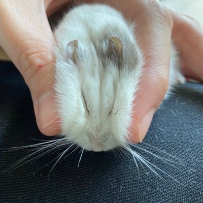Naseさんのプロフィール画像