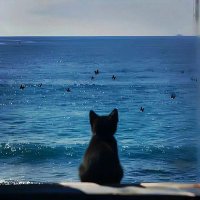 c (@studywithcika) 's Twitter Profile
