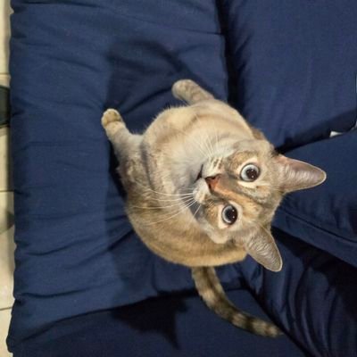 KenCohen114761's profile picture. 