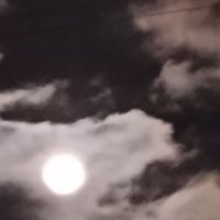 パスカリナ (@yuttaritona) 's Twitter Profile Photo パスカリナ (@yuttaritona) 's Twitter Profile Photo