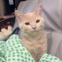 Chada_YYY (@chada6969) 's Twitter Profile