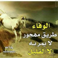فحل يمني (@nhshl429833) Twitter profile photo