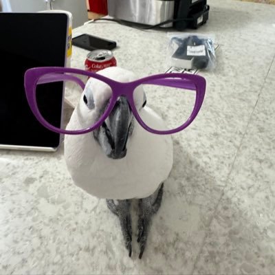 hard68873's profile picture. 