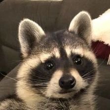 Me3141584225652's profile picture. 