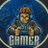 SebsgamingonX's profile image