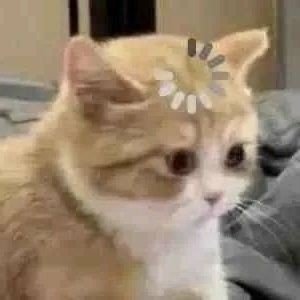 doc_sherloc's profile picture. he/him.
I'm a brooklyn baby.