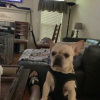Cleaverman (@cleaverman3) 's Twitter Profile