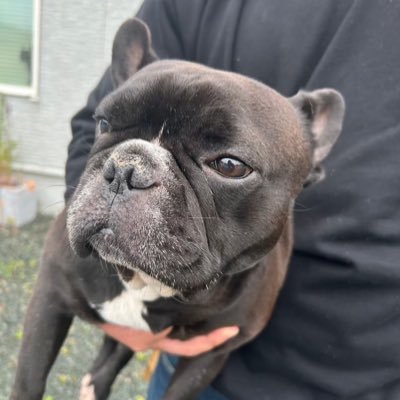 sukosho88's profile picture. 餃子は酢胡椒が1番旨ぇんだって多分な