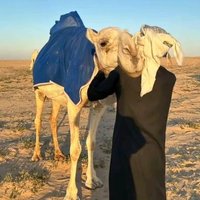 بدوي19 (@qiii_21) Twitter profile photo