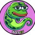 PepeEvolutions (@pepevtoken) Twitter profile photo PepeEvolutions (@pepevtoken) Twitter profile photo