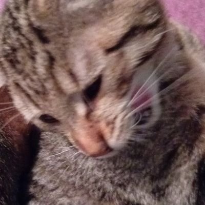 LemagneRem17604's profile picture. 