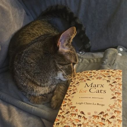 musyoka_2's profile picture. die fun