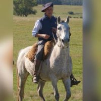 Francisco Sanguinetti Gallinal (@francis4x6) 's Twitter Profile Photo Francisco Sanguinetti Gallinal (@francis4x6) 's Twitter Profile Photo