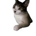 I don't know (@hello_sunset_) Twitter profile photo I don't know (@hello_sunset_) Twitter profile photo