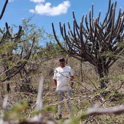 Venezolano Guaro, modelo 90 mi hobby cocinar